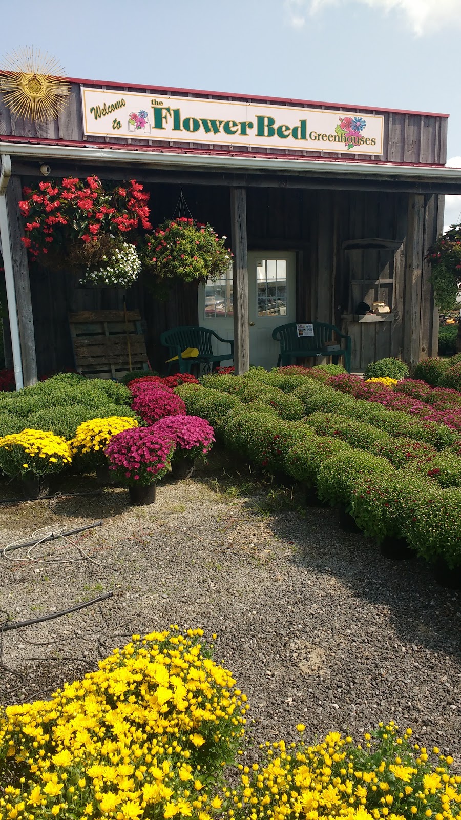 Flowerbed Greenhouses Ltd. | 22653 Kent Bridge Rd, Kent Bridge, ON N0P 1V0, Canada | Phone: (519) 352-3439