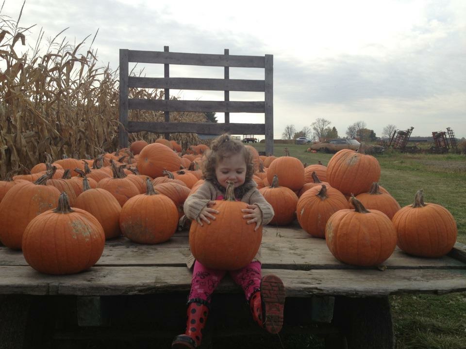 Ferguson Berries And Vegetables | 11026 Wellington Rd, St. Thomas, ON N5P 3T1, Canada | Phone: (519) 631-6589