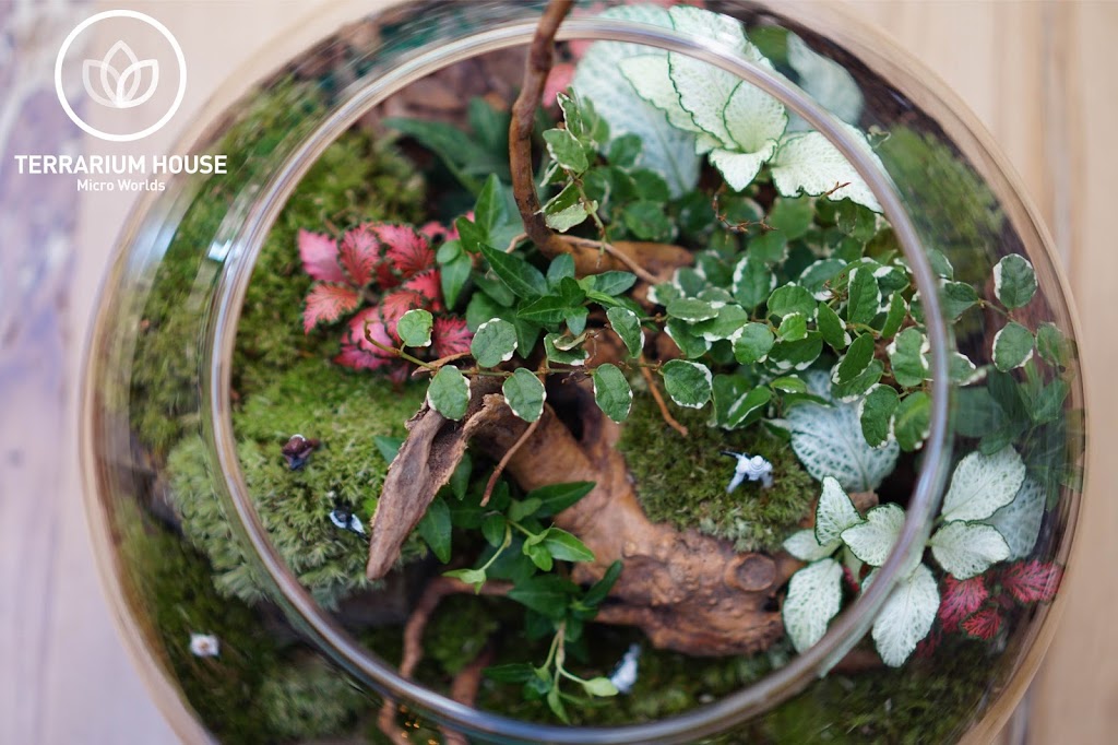 Terrarium House | 57 Lynwood Rd, Hamilton, ON L9C 6M7, Canada