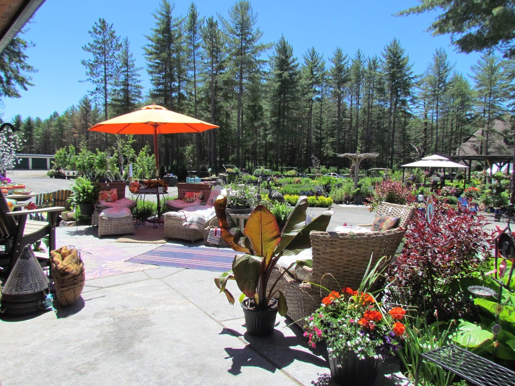 Lake of Bays Garden Centre | 2876 Hwy. #60, Dwight, ON P0A 1H0, Canada | Phone: (705) 635-1696