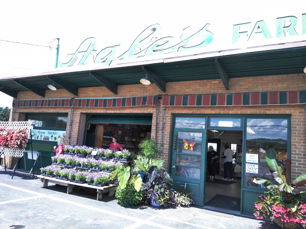 Agles Farm Market | 7952 Gowanda State Rd, Eden, NY 14057, USA | Phone: (716) 992-4290