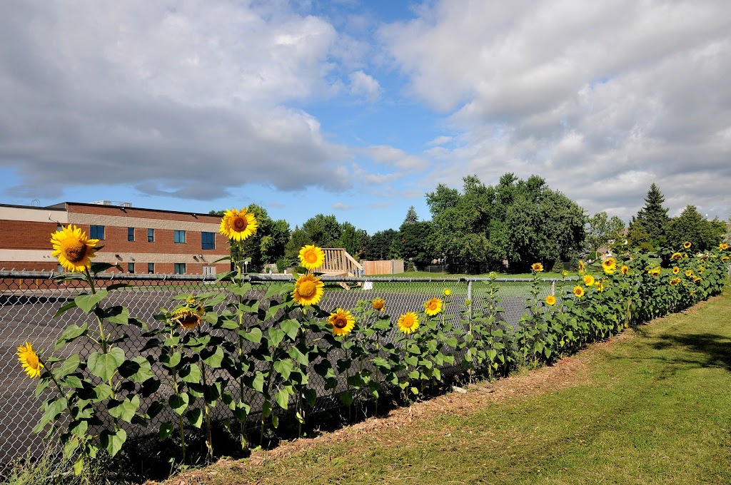 St. Elizabeth Seton School | 6133 Glen Erin Dr, Mississauga, ON L5N 2T7, Canada | Phone: (905) 821-2277