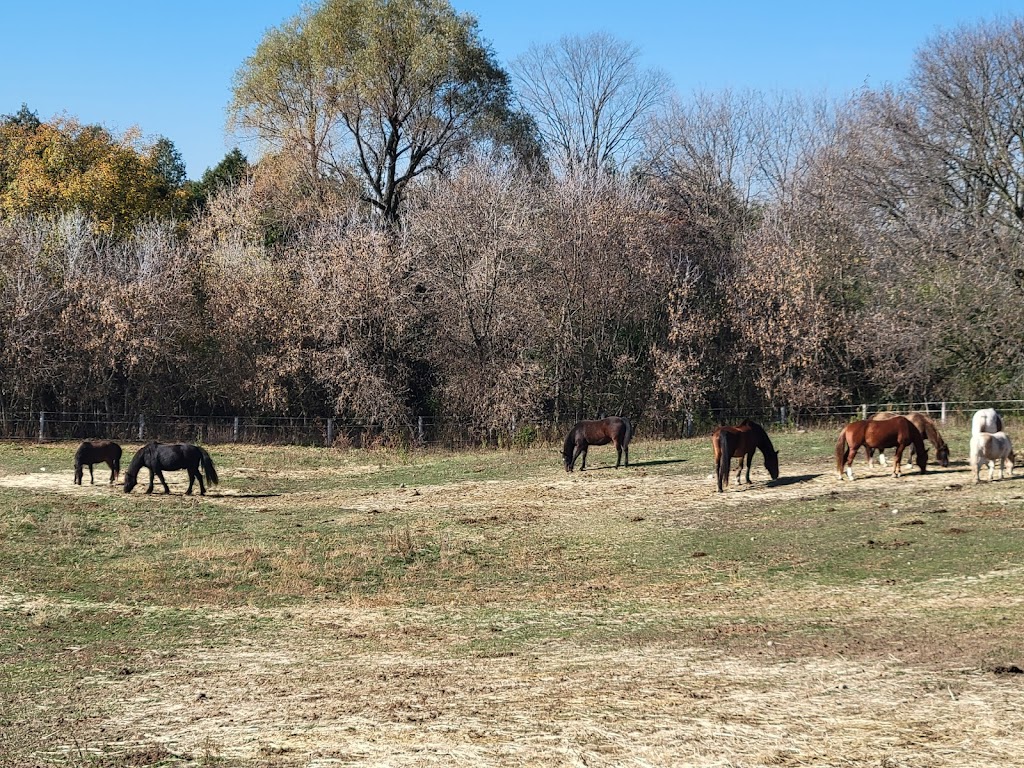 Hebel Equestrian | 629 Sawmill Rd, Bloomingdale, ON N0B 1K0, Canada | Phone: (519) 500-3394