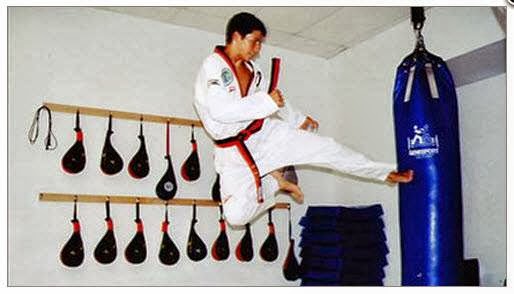 Ecole Taekwondo Pierre Pleau Enr | 401 Boulevard Harwood, Vaudreuil-Dorion, QC J7V 7W1, Canada | Phone: (450) 424-7235