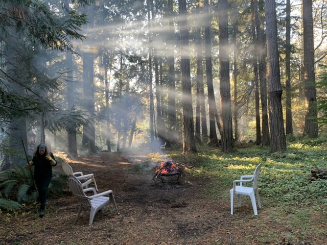 The forest at Ocean Wilderness Inn | 9171 W Coast Rd, Shirley, BC V9Z 1G3, Canada | Phone: (250) 646-2116