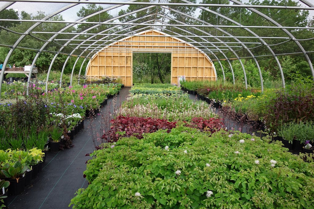 Bunchberry Nurseries | 2779 Nova Scotia Trunk 1, Annapolis Royal, NS B0S 1A0, Canada | Phone: (902) 532-7777