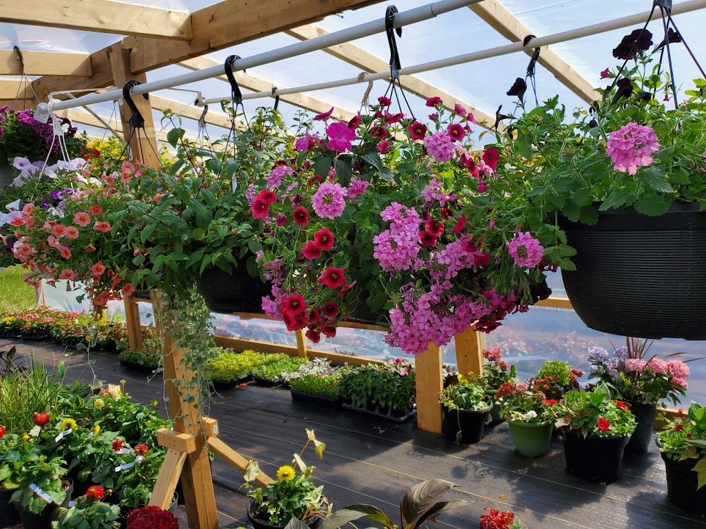 Itza Farm and Garden Centre | 905 Stockdale Rd, Trenton, ON K8V 5P6, Canada | Phone: (289) 356-4779