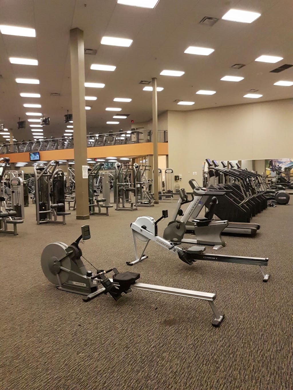 LA Fitness | 2959 Bovaird Dr E, Brampton, ON L6S 0C6, Canada | Phone: (905) 789-6257