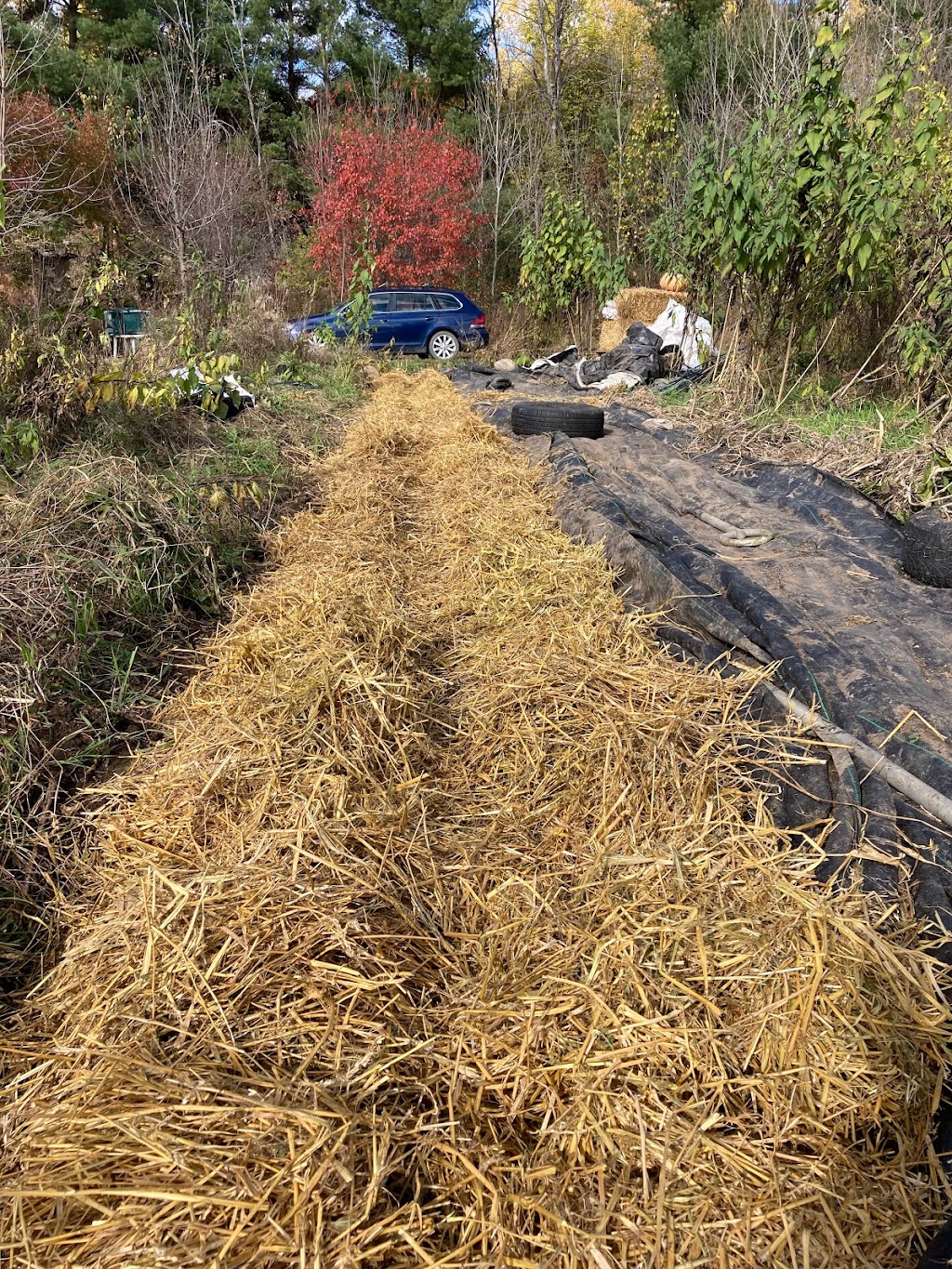 The Chi Garden at Just Food Farm | 4Z3, 2389 Pépin Ct, Ottawa, ON K1B 4Z3, Canada | Phone: (613) 981-4568