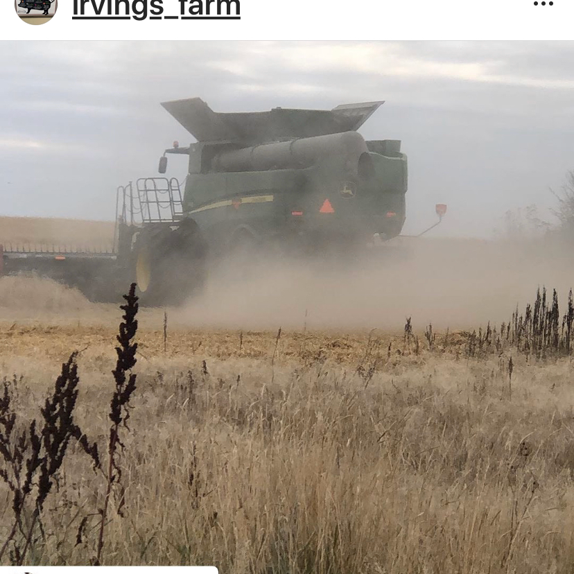 Irvings Farm Fresh Ltd | 18469 Township Rd 484, Round Hill, AB T0B 2M2, Canada | Phone: (780) 672-2787