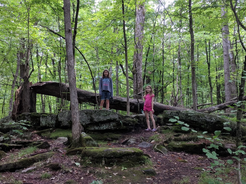 Beaver Trail | Moodie Dr, Nepean, ON K2R 1H8, Canada