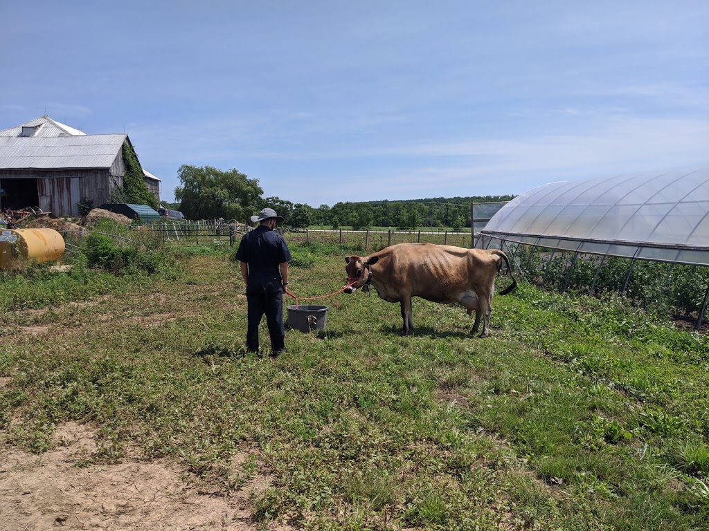 Marvellous Edibles Farm | 617930 Grey Rd 18, Owen Sound, ON N4K 5W4, Canada | Phone: (519) 372-2107