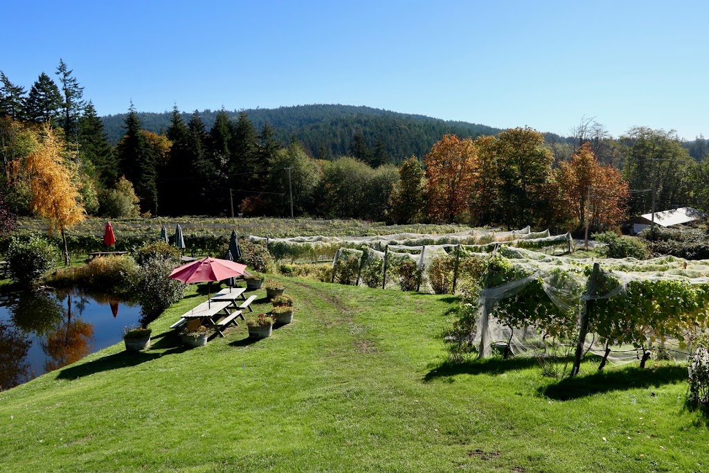 Salt Spring Vineyards & Tasting Room | 151 Lee Rd, Salt Spring Island, BC V8K 2A5, Canada | Phone: (250) 653-9463