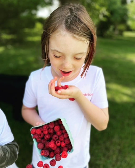 Blue Mountain Berry Co. | 220 Victoria St S, Thornbury, ON N0H 2P0, Canada | Phone: (519) 377-0551