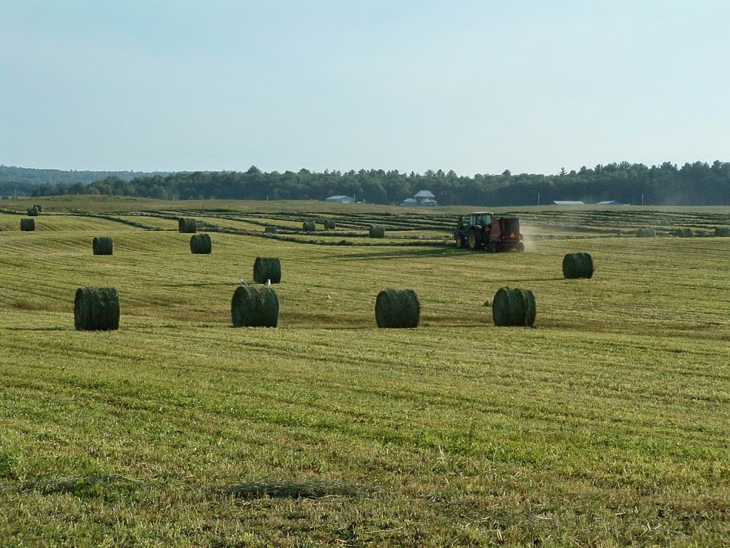 Rolling Acres Farms | C260 Chemin Heath, Shawville, QC J0X 2Y0, Canada | Phone: (819) 647-3540