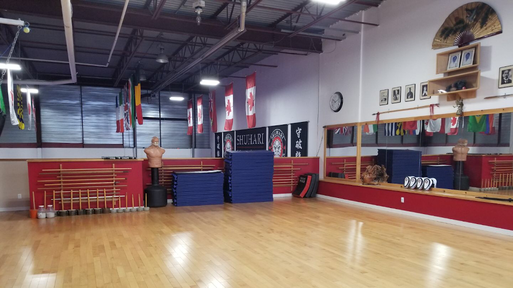 Iron Tree Dojo | 287 Tiffin St, Barrie, ON L4N 7R8, Canada | Phone: (705) 716-3024