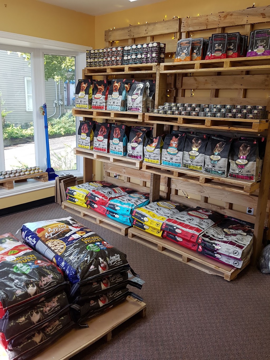 Animalerie Du Village | 528 Rue Frontière, Hemmingford, QC J0L 1H0, Canada | Phone: (450) 636-8813