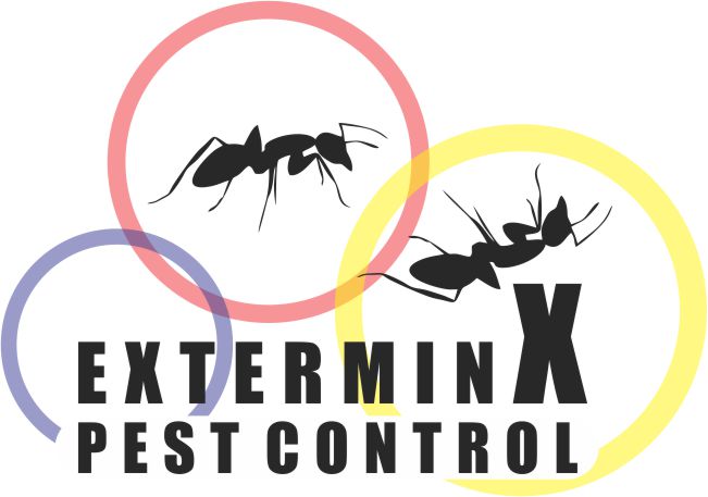 Exterminx | 48 Convoy Crescent, Maple, ON L6A 3H3, Canada | Phone: (647) 530-9898