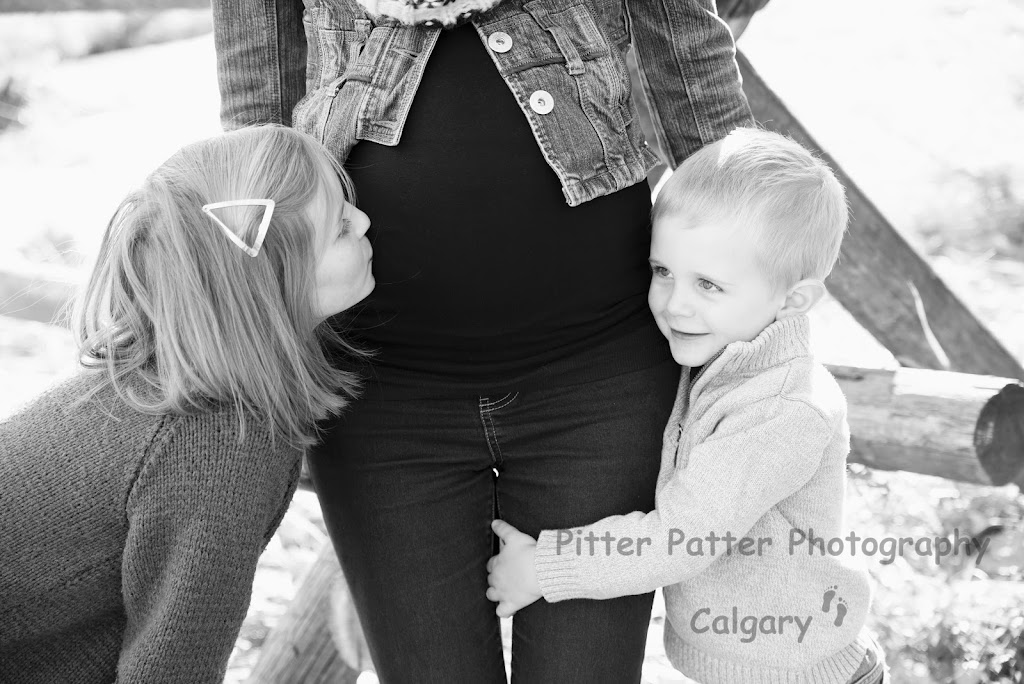 Pitter Patter Photography Calgary | #3107, Calgary, AB T2W 2X6, Canada | Phone: (403) 826-0294