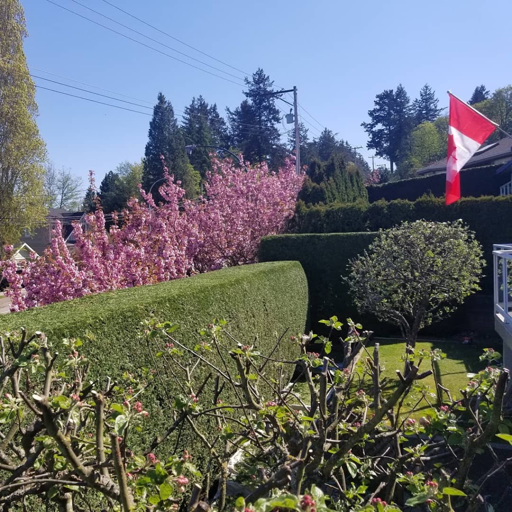 Pinecrest Landscaping Ltd. | 12th Ave &, English Bluff Rd, Tsawwassen, BC V4M 2A4, Canada | Phone: (604) 961-8406