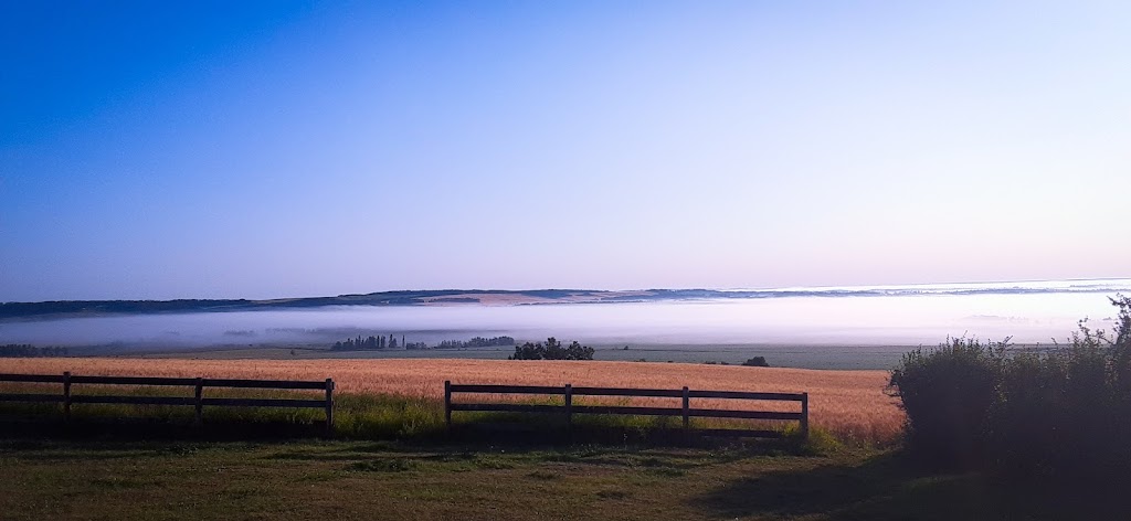 Melody Photography | Range Rd 33, Bluffton, AB T0C 0M0, Canada | Phone: (403) 963-7360