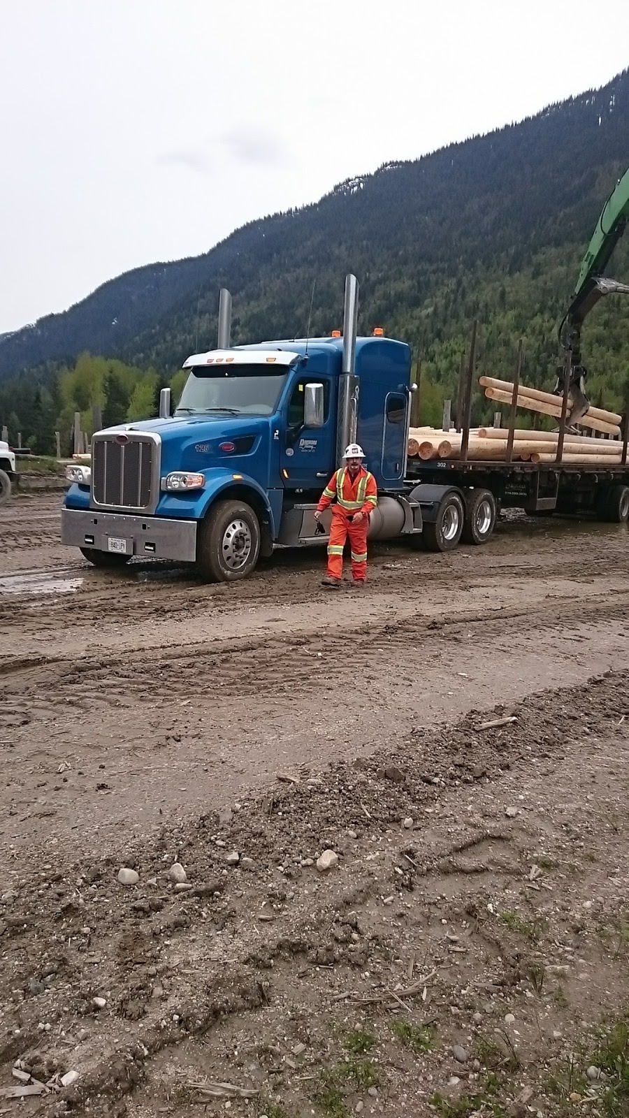 Stella-Jones Canada Inc | Pole Yard Rd, Revelstoke, BC V0E 2S0, Canada | Phone: (250) 837-5061