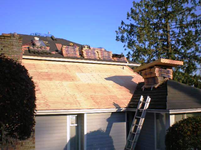 Step Above In Roofing | 59 Haun Rd, Crystal Beach, ON L0S 1B0, Canada | Phone: (289) 456-6733