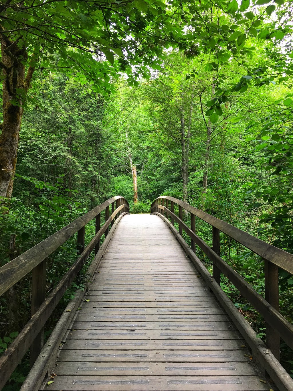 Birch Grove Hatchery Trail | Birch Grove Hatchery Trail, Surrey, BC V4N 2E2, Canada