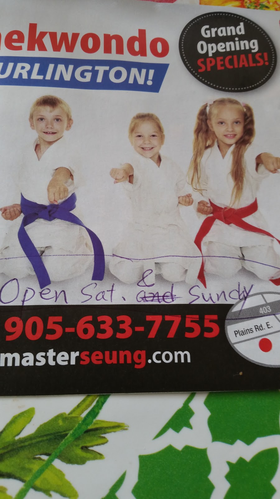 Seungs Taekwondo(Martial Art One) | Canada, Ontario, Burlington, 1400plains Rd.E Seungs Taekwondo (Martial Art One | Phone: (905) 633-7755