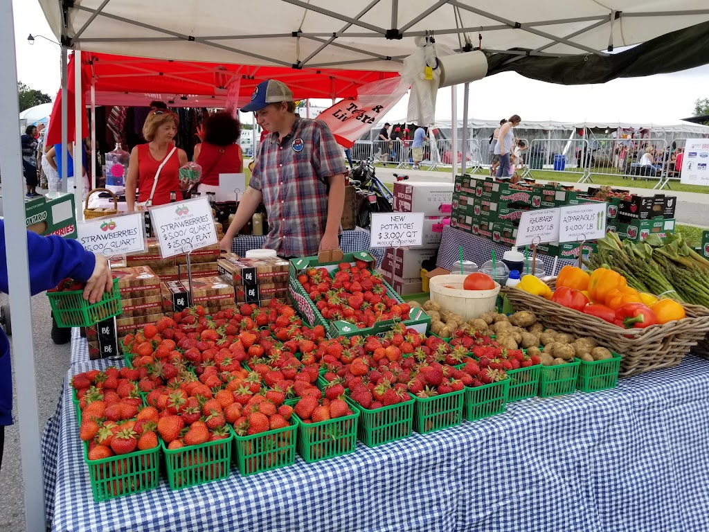Whitchurch-Stouffville Strawberry Festival | Stouffville Memorial Park, Whitchurch-Stouffville, ON L4A 1G5, Canada | Phone: (905) 642-3779