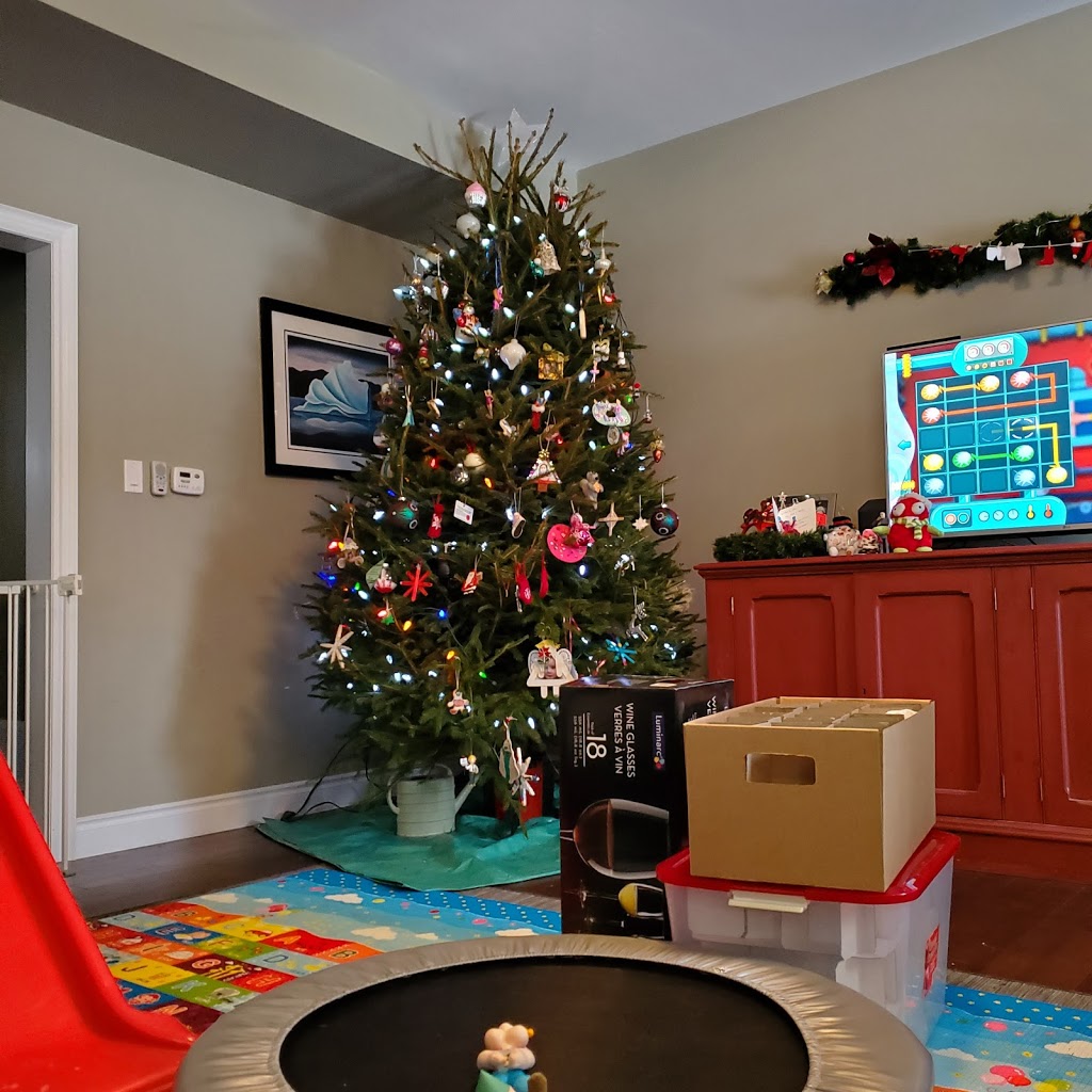 Lauras Christmas Trees | 998024 Mulmur Tosorontio Townline, Mulmur, ON L9V 0N4, Canada | Phone: (705) 466-5790