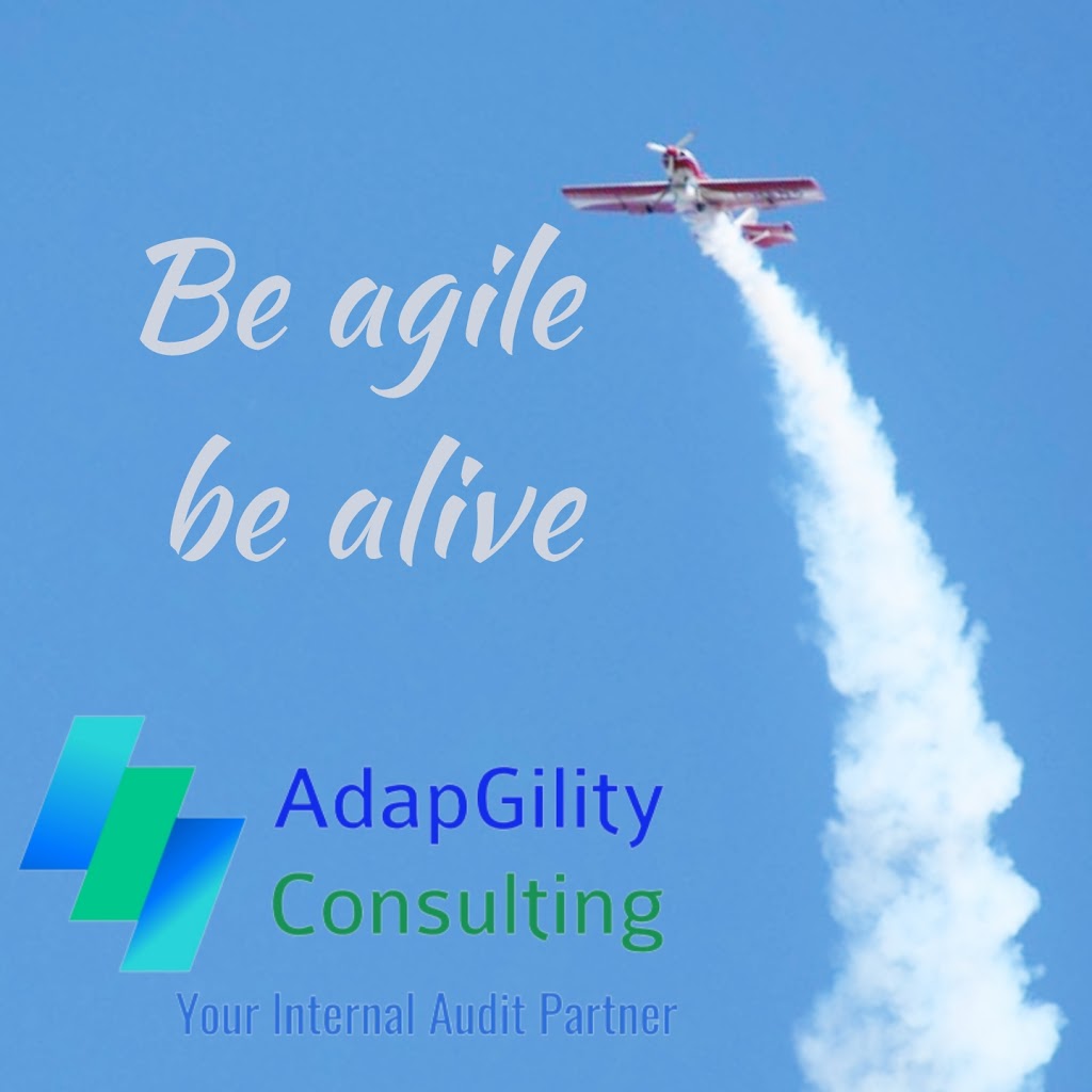 AdapGility Consulting | 219 Rivertree St, Kanata, ON K2M 0J4, Canada | Phone: (613) 986-3884