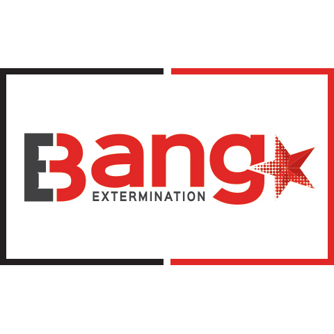 Bang Extermination | Exterminateur Rive-Sud | Urgence 24h | 142 Rue Jacquelin Beaulieu, Sainte-Julie, QC J3E 3R1, Canada | Phone: (438) 499-3983