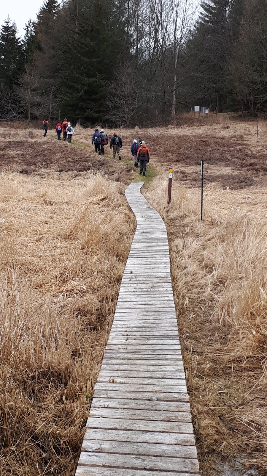 Humber Source Woods | Oak Ridges Trail, King City, ON L7B 1K4, Canada