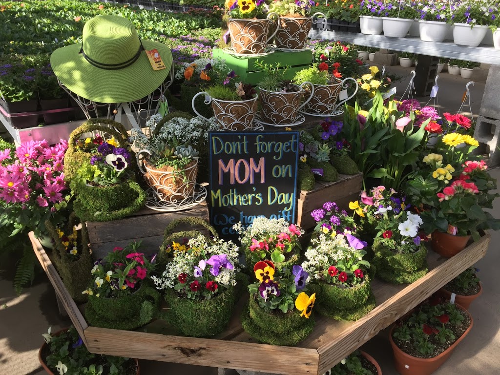 Badding Bros Farm Market and Garden Center | 10820 Transit Rd, East Amherst, NY 14051, USA | Phone: (716) 636-7824