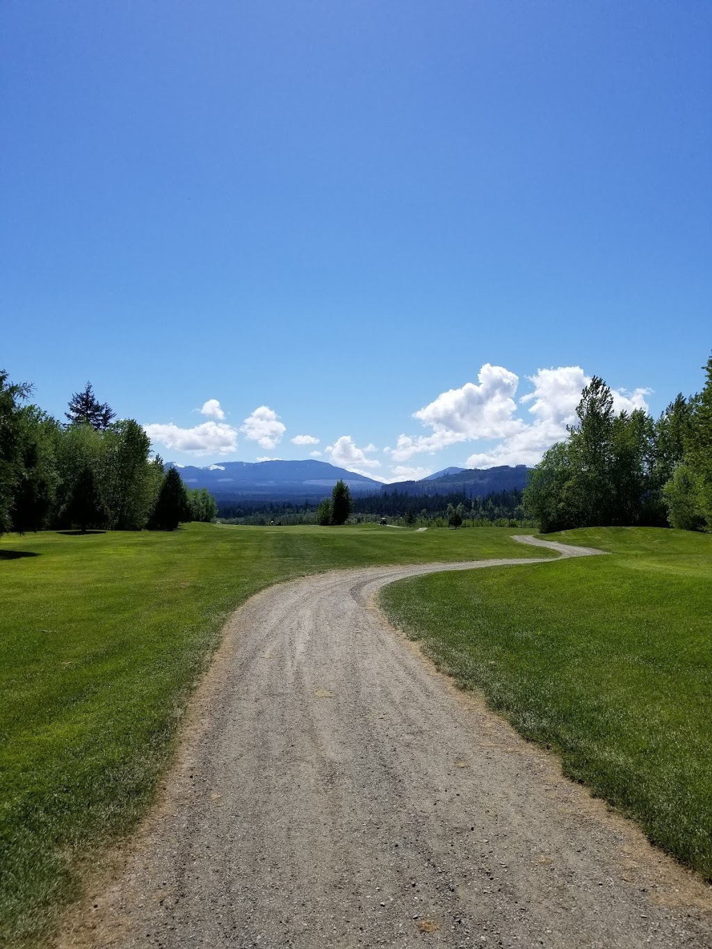 Cottonwood Golf Course | 1975 Haslam Rd, Nanaimo, BC V9X 1T1, Canada | Phone: (250) 245-5157