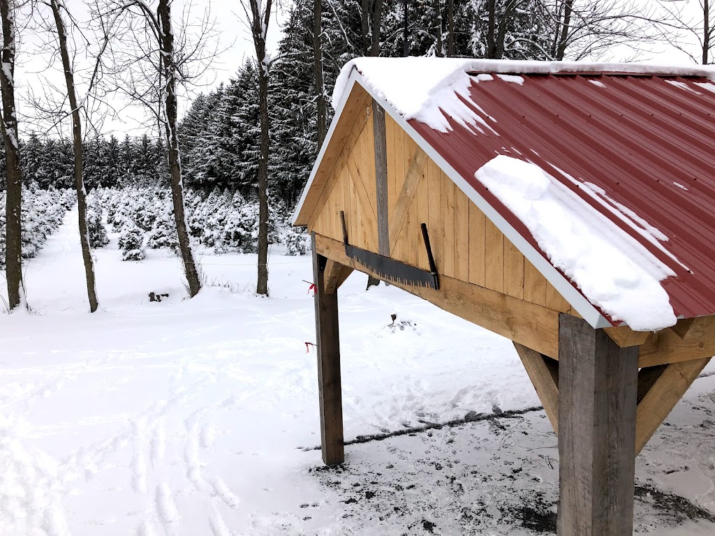 Les sapins de Noël.com autocueillette de sapin de noel | 2640 Mnt Bullock, Henryville, QC J0J 1E0, Canada | Phone: (514) 809-4442