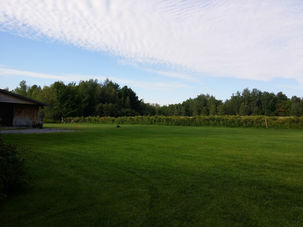 Vignoble Pigeon Hill | 395 Chemin des Érables, Saint-Armand, QC J0J 1T0, Canada | Phone: (450) 248-2531