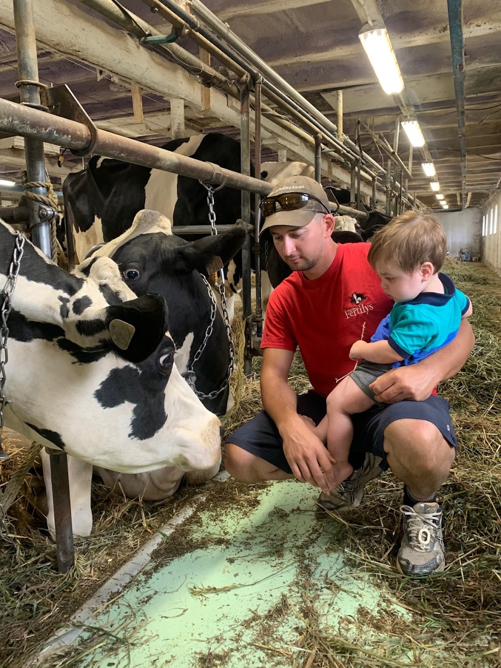 Ferme Fertilys | 860 QC-352, Sainte-Thècle, QC G0X 3G0, Canada | Phone: (418) 507-2697