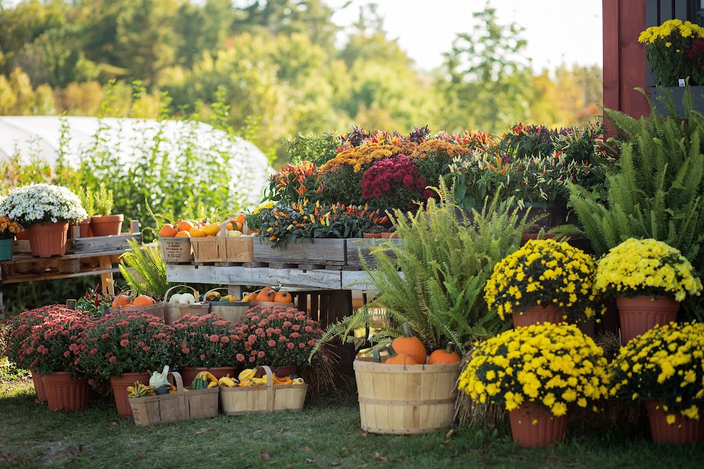 Dahlia May Flower Farm | 1226 Stockdale Rd, Trenton, ON K8V 5P6, Canada | Phone: (613) 403-5055