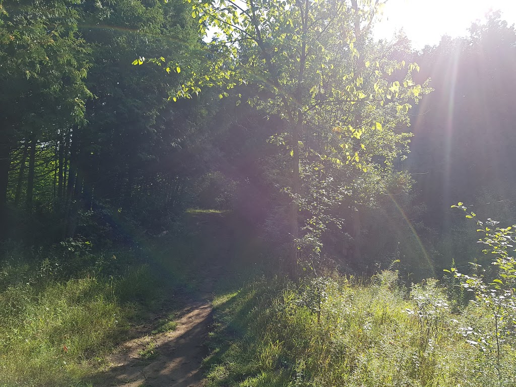 Stony Swamp Trail | NCC 26, Nepean, ON K2R 1H4, Canada