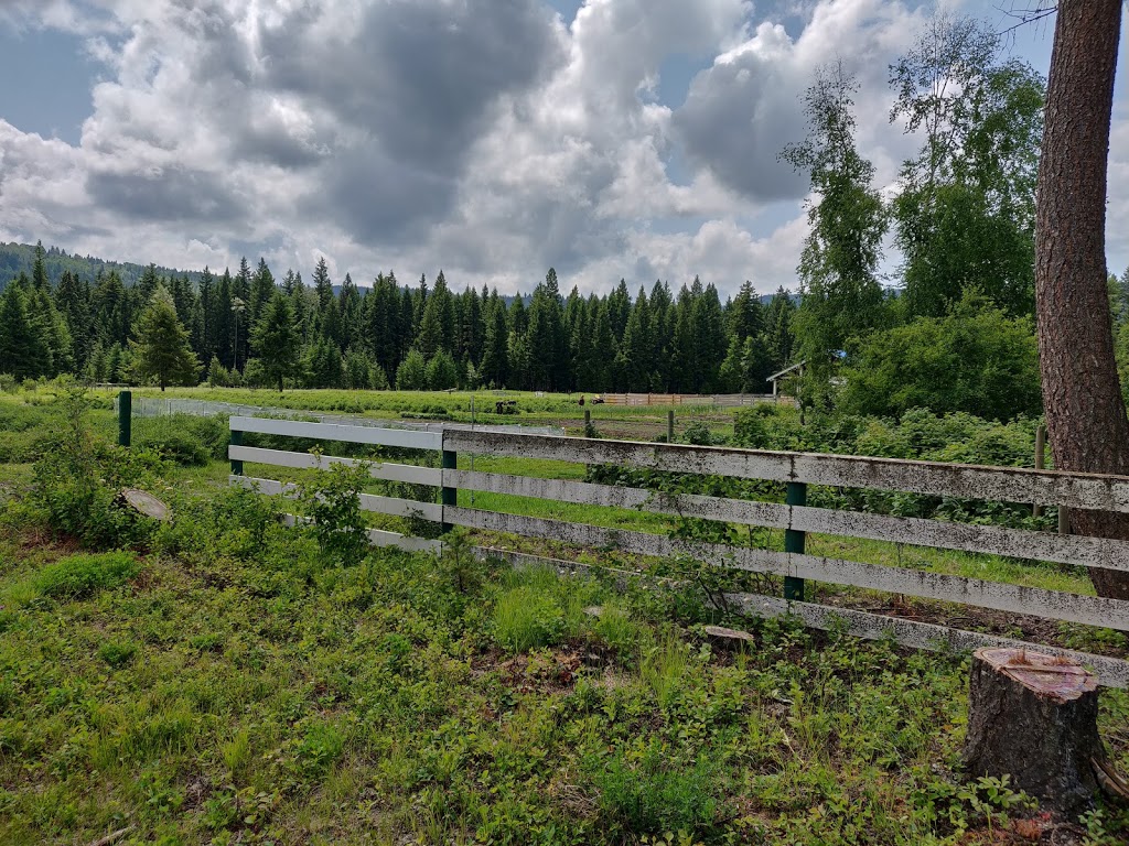 Honeyberry Farm Market | Lake Bay Rd, Heffley Creek, BC V0E 1Z1, Canada | Phone: (250) 578-0781