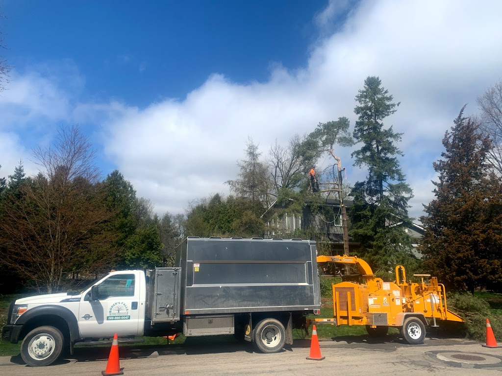 Borers Falls Tree Service | 830 Montgomery Dr, Ancaster, ON L9G 3H8, Canada | Phone: (289) 880-0047