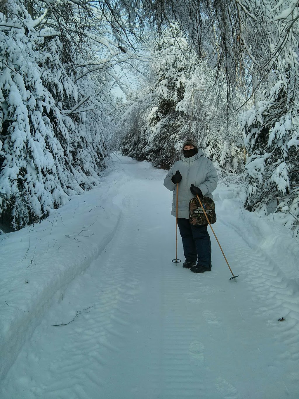 Érablière David Picard | 1500 chemin Frenette, Ham-Nord, QC G0P 1A0, Canada | Phone: (819) 446-0029