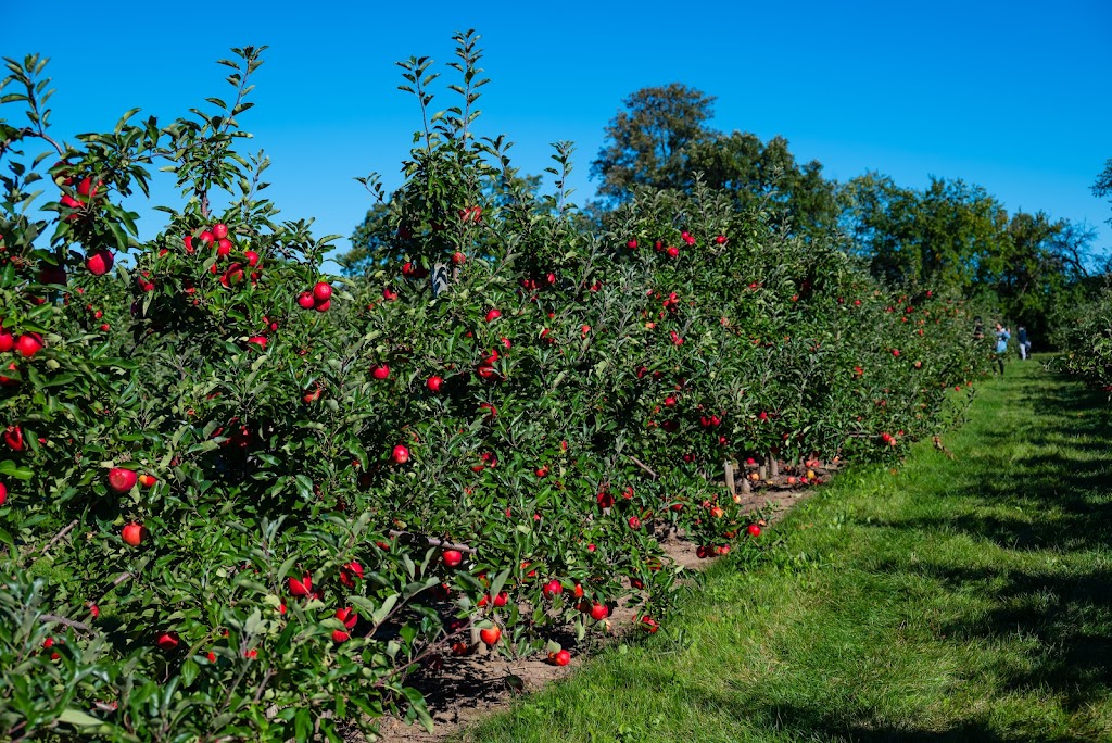 Applewood Farm | 12416 McCowan Rd, Whitchurch-Stouffville, ON L4A 4C5, Canada | Phone: (905) 640-5357