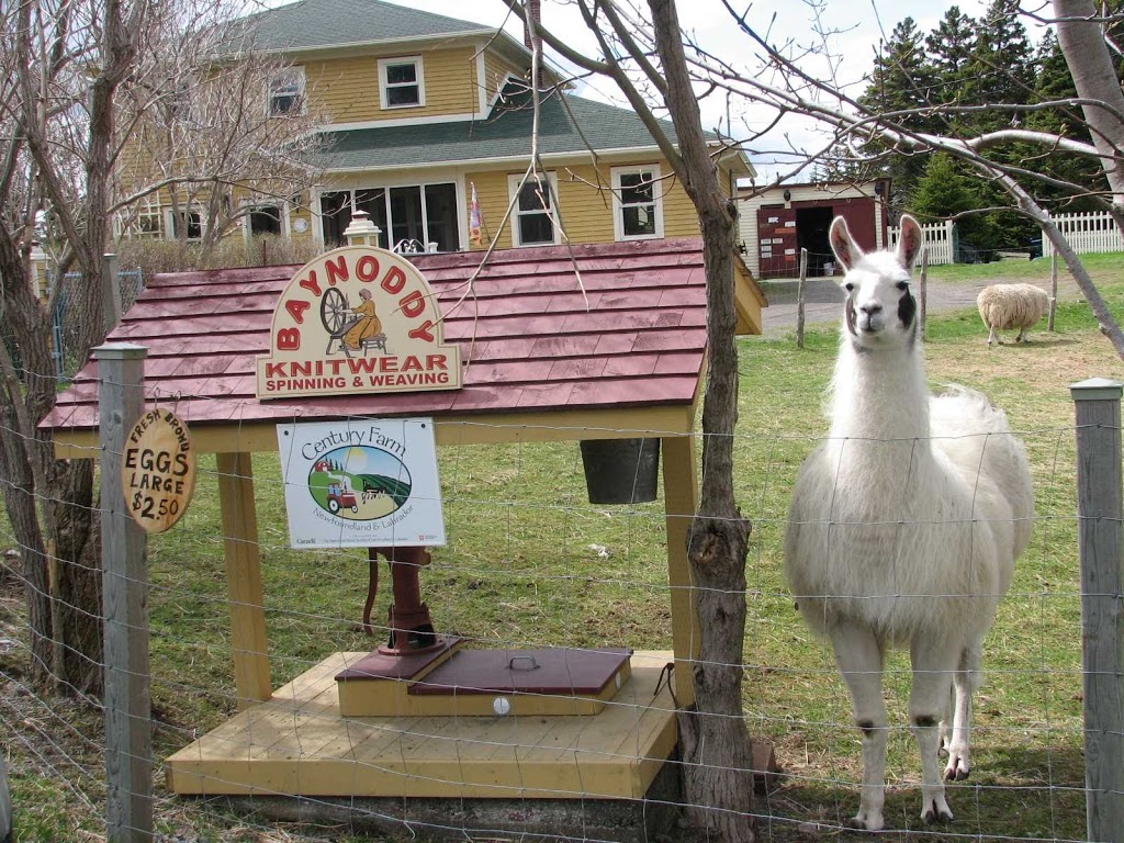 Baynoddy Knitwear,Spinning & Weaving | Fahey Farm, 135 Point Road, Harbour Main-Chapel Cove-Lakeview, NL A0A 1V0, Canada | Phone: (709) 229-6296