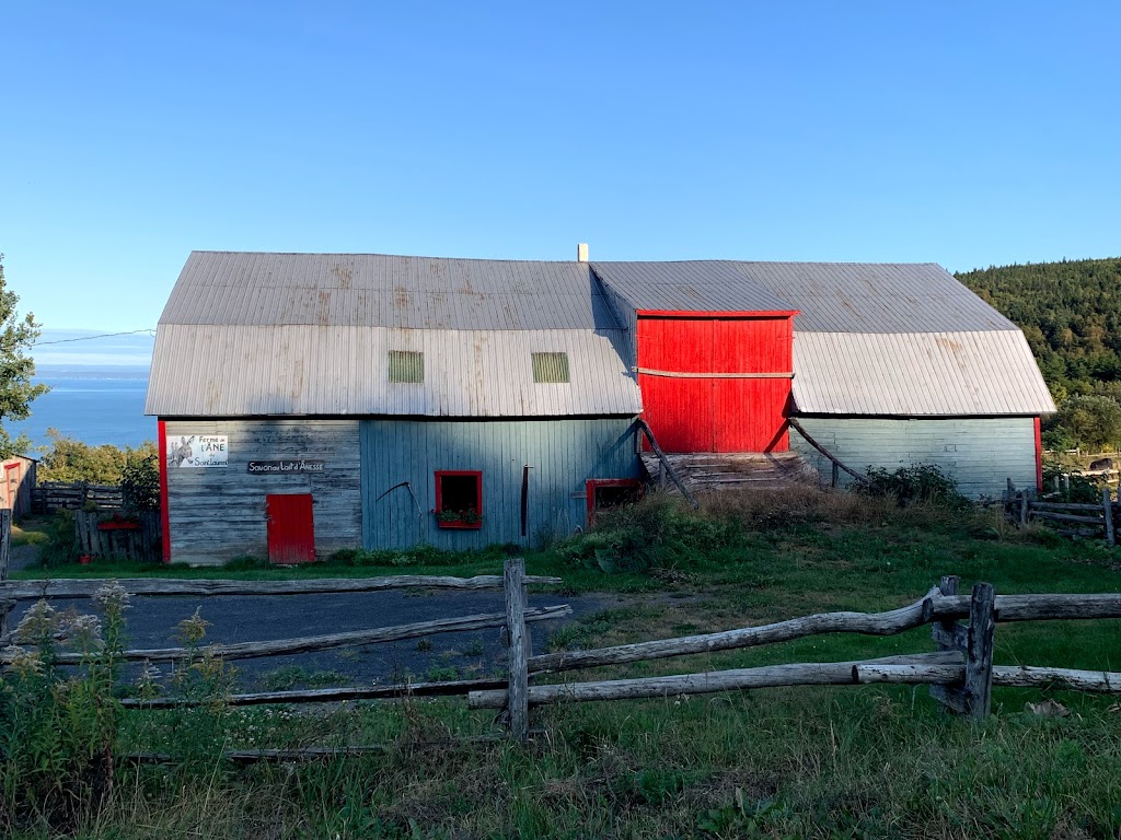 Ferme de l’Âne du Saint-Laurent | 975 Chem. de Port au Persil, Saint-Siméon, QC G0T 1X0, Canada | Phone: (418) 638-1264