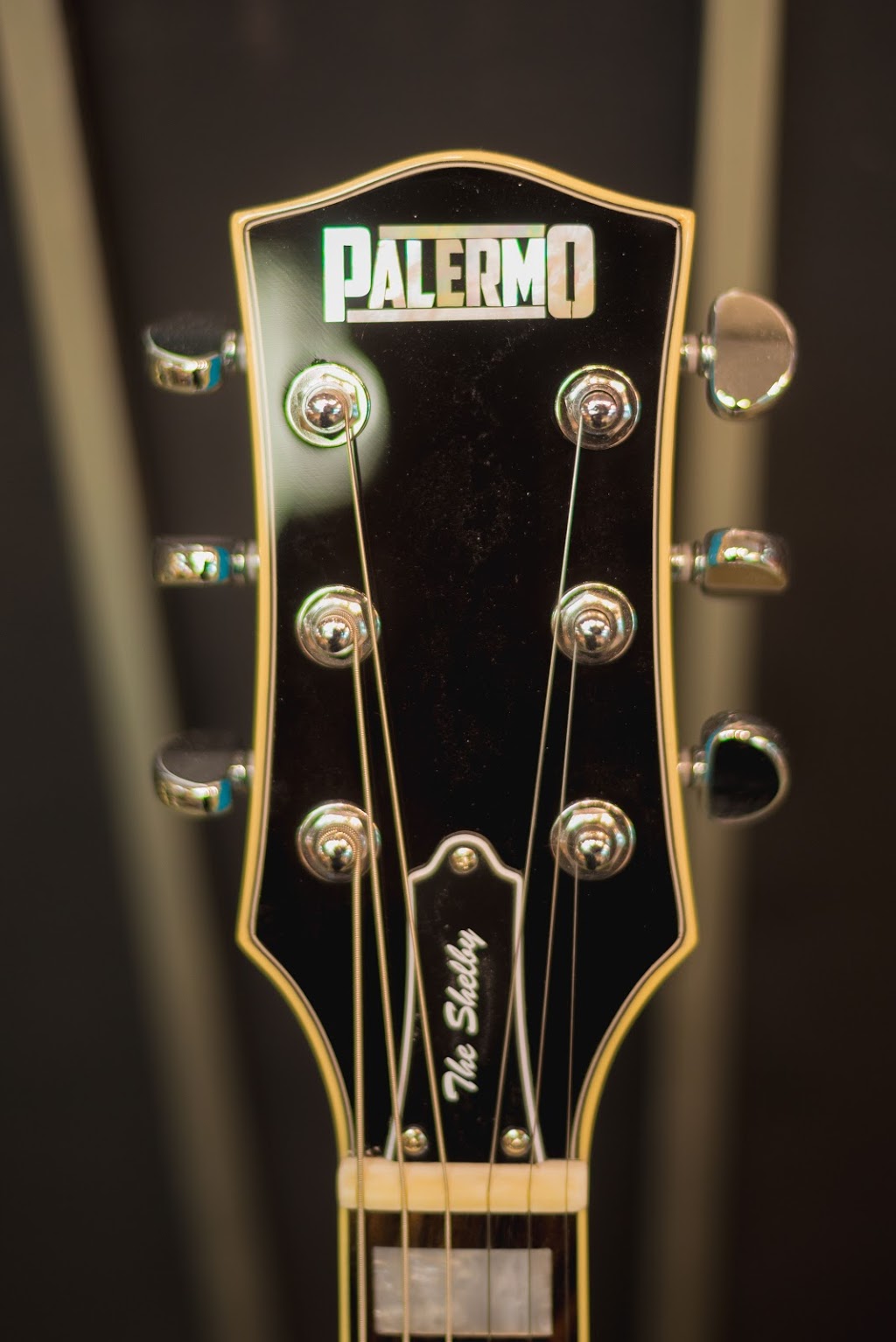 Palermo Guitars | 9 Pine St N #30, Thorold, ON L2V 3Z9, Canada | Phone: (905) 227-7941