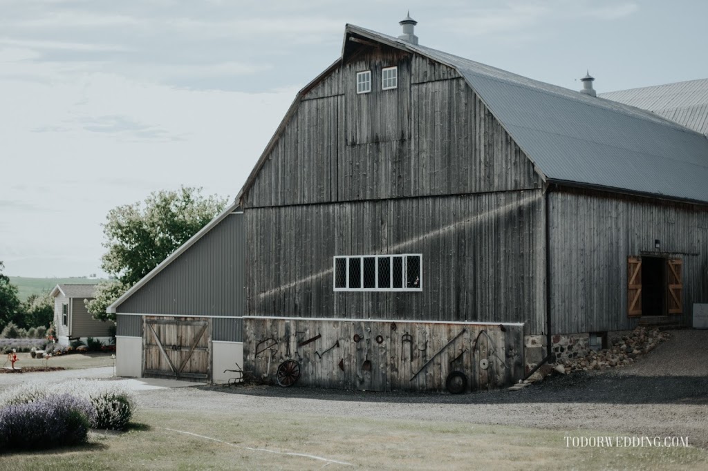 The Lavender Farm | 769 Drumbo Rd, Ayr, ON N0B 1E0, Canada | Phone: (519) 632-7368