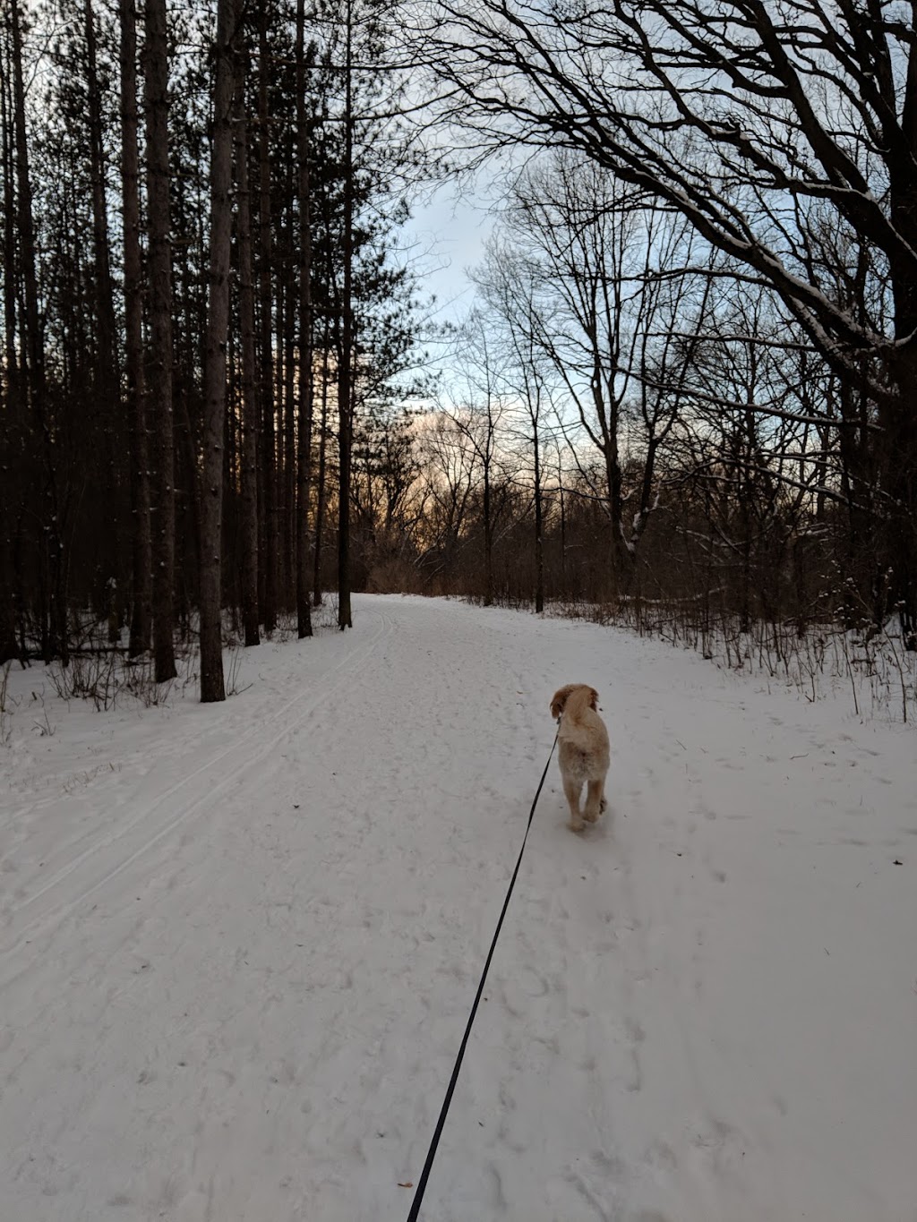 Kiwanis Dog Park | Bridgeport North, Kitchener, ON N2K 3N8, Canada